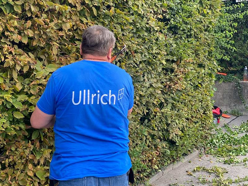 Professionelle Grünanlagenpflege von der Ullrich Group