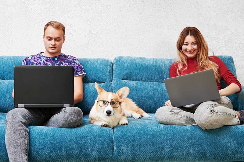 Immobilien Suchauftrag kostenlos online für Traumimmobilie ohne Makler
