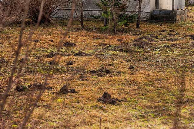 Direkter Ankauf von Grundstücke und Immobilien ohne Makler
